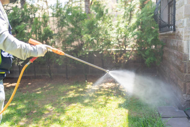 Professional Pest control in Franklin, VA